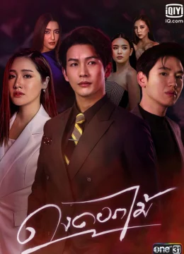 Rừng Hoa Rực Lửa - Dong Dok Mai (2025) Vietsub