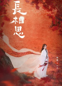 Trường Tương Tư - Lost You Forever (2025) Vietsub