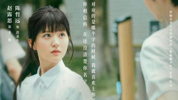 Vụng Trộm Không Thể Giấu - Hidden Love (2025) Vietsub