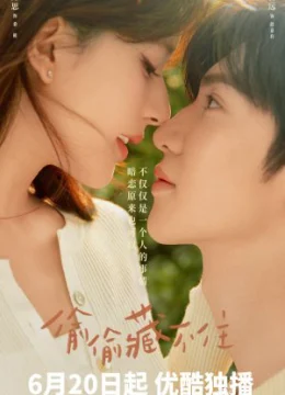 Vụng Trộm Không Thể Giấu - Hidden Love (2025) Vietsub